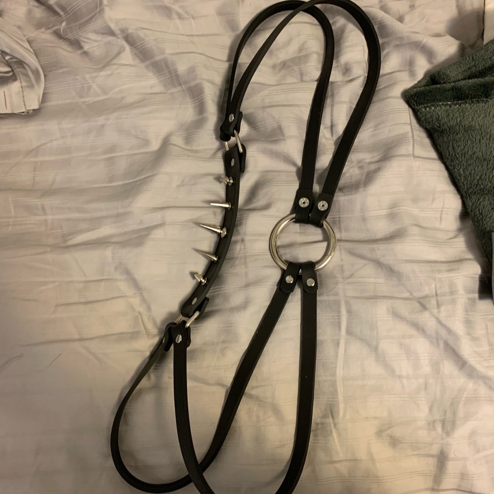 Stylish Black Harness with Silver Accents